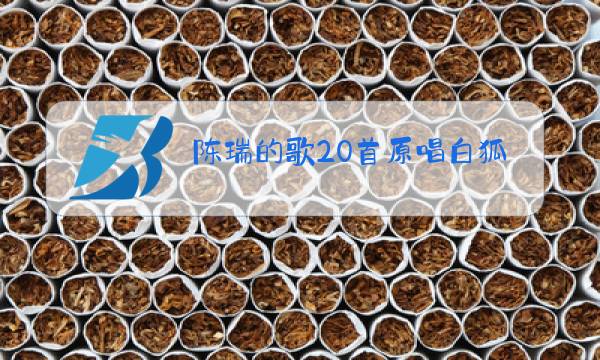 陈瑞的歌20首原唱白狐图片