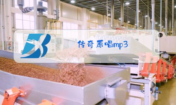 传奇原唱mp3图片