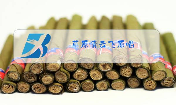 草原情云飞原唱图片