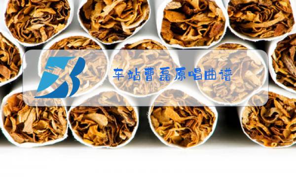 车站曹磊原唱曲谱图片