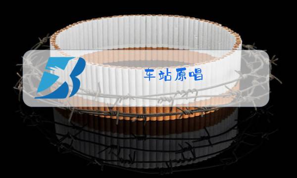 车站原唱图片