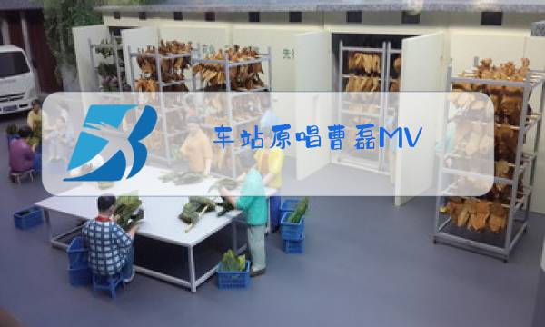 车站原唱曹磊MV图片