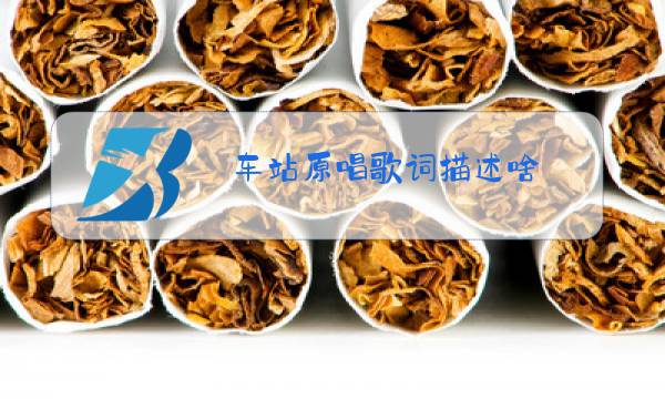 车站原唱歌词描述啥图片
