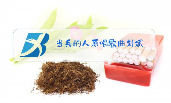 当兵的人原唱歌曲刘斌图片