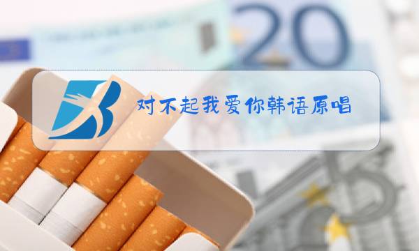 对不起我爱你韩语原唱图片