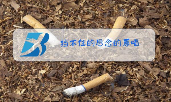 挡不住的思念的原唱图片
