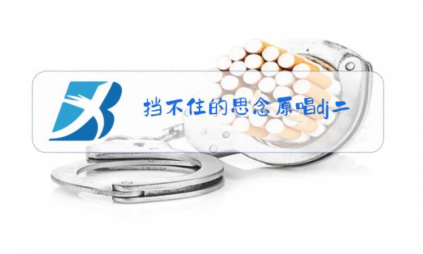 挡不住的思念原唱dj二图片