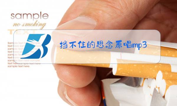 挡不住的思念原唱mp3免费下载图片