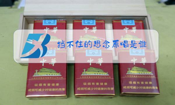 挡不住的思念原唱是谁图片