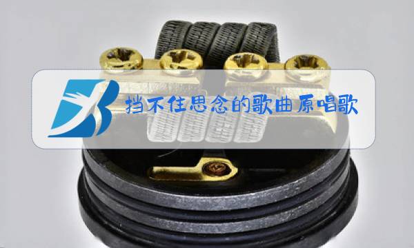 挡不住思念的歌曲原唱歌词图片