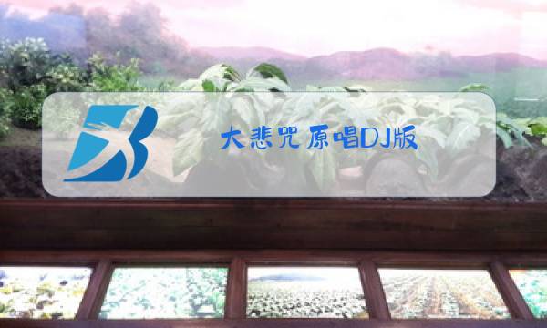 大悲咒原唱DJ版图片