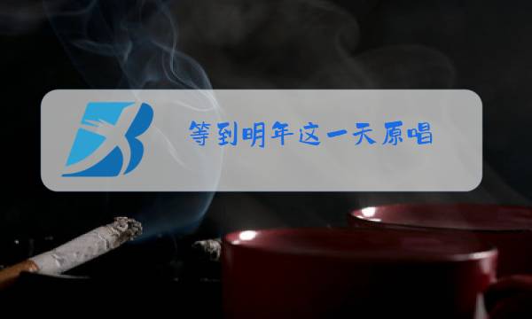 等到明年这一天原唱图片