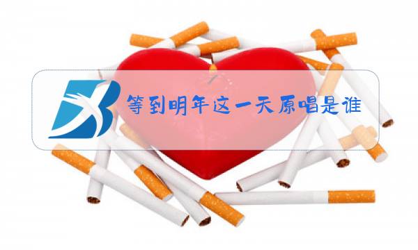 等到明年这一天原唱是谁图片