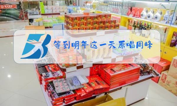 等到明年这一天原唱周峰图片