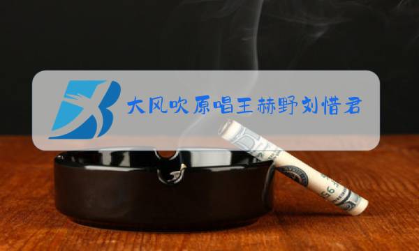 大风吹原唱王赫野刘惜君图片