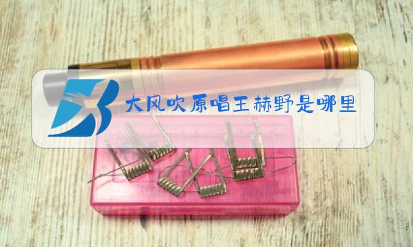 大风吹原唱王赫野是哪里人图片