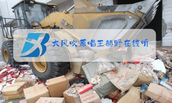 大风吹原唱王赫野在线听图片