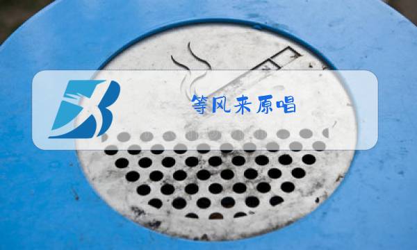 等风来原唱图片