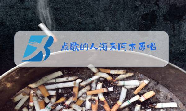 点歌的人海来阿木原唱图片