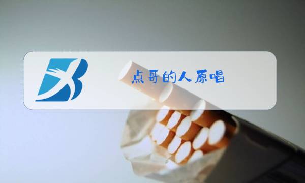 点哥的人原唱图片