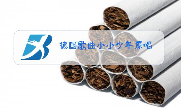 德国歌曲小小少年原唱图片