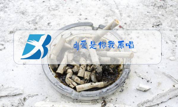 dj爱是你我原唱图片