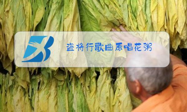 盗将行歌曲原唱花粥图片