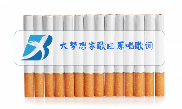 大梦想家歌曲原唱歌词图片