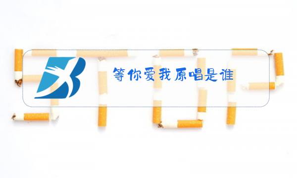 等你爱我原唱是谁图片