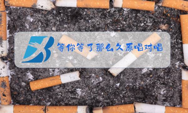 等你等了那么久原唱对唱祁隆乐凡下载图片