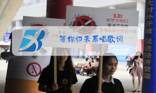 等你归来原唱歌词图片
