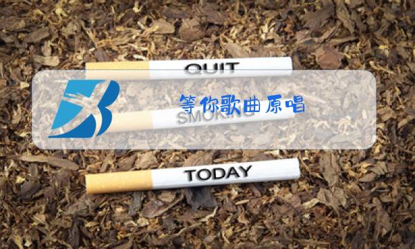 等你歌曲原唱图片