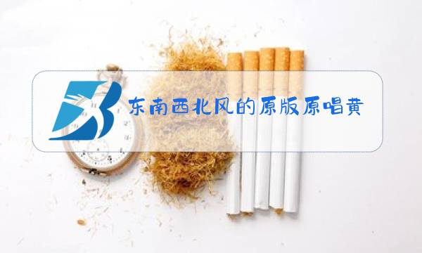 东南西北风的原版原唱黄安图片