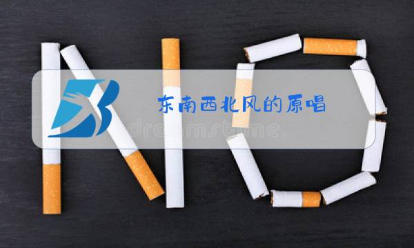 东南西北风的原唱图片