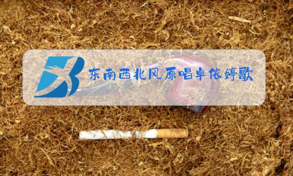 东南西北风原唱卓依婷歌词图片