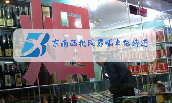东南西北风原唱卓依婷还是黄安图片