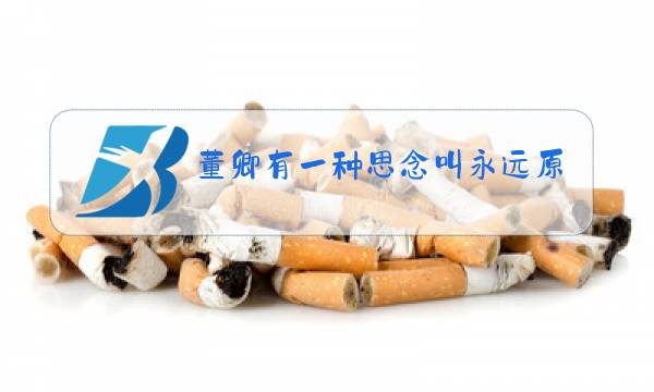 董卿有一种思念叫永远原唱毛阿敏图片