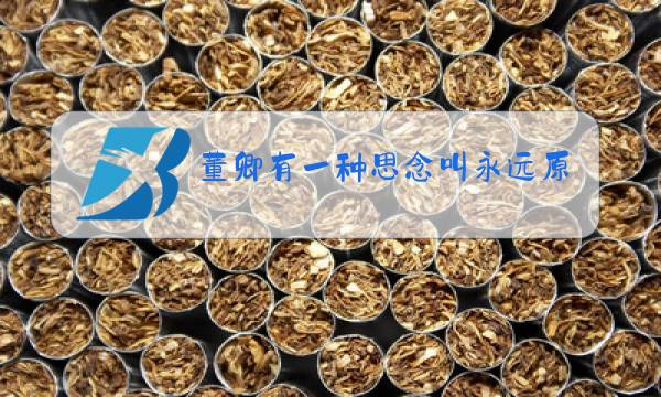董卿有一种思念叫永远原唱图片
