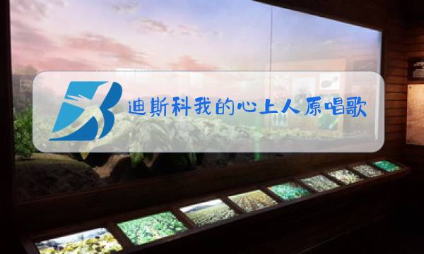 迪斯科我的心上人原唱歌名图片