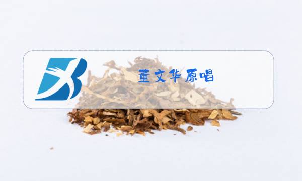 董文华原唱图片