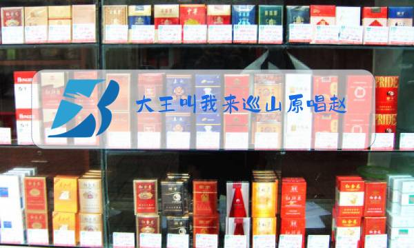 大王叫我来巡山原唱赵图片