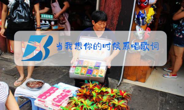 当我想你的时候原唱歌词把悲伤留给自己图片