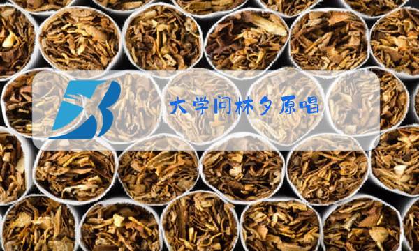 大学问林夕原唱图片