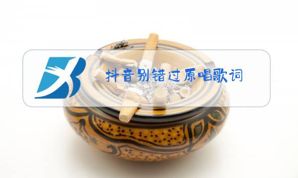 抖音别错过原唱歌词图片