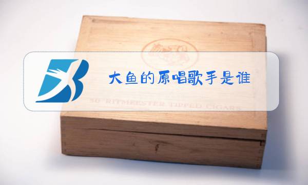 大鱼的原唱歌手是谁图片