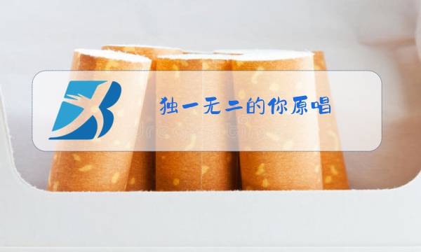 独一无二的你原唱图片