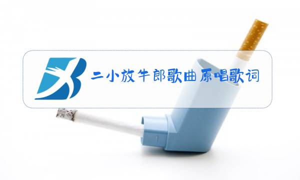 二小放牛郎歌曲原唱歌词图片
