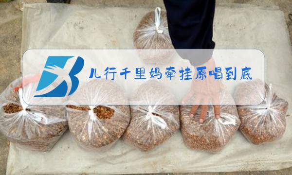 儿行千里妈牵挂原唱到底是谁图片