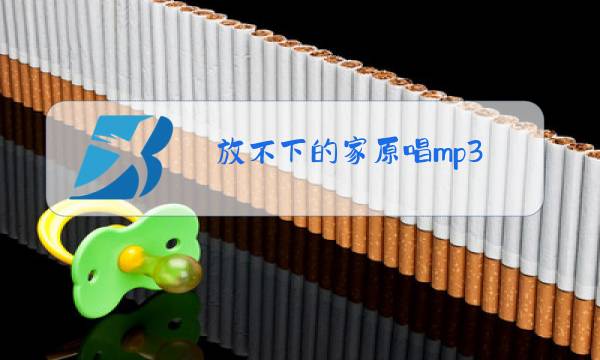 放不下的家原唱mp3图片