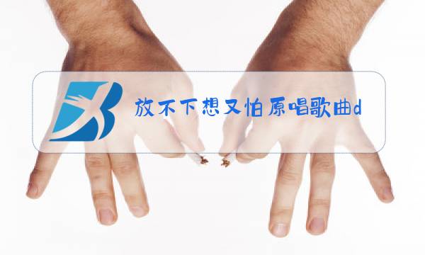 放不下想又怕原唱歌曲dj图片